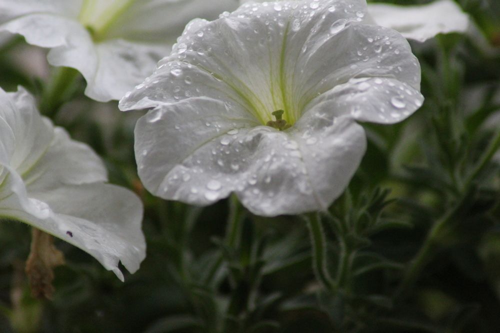 Photograph by Panagiotis Batatolis