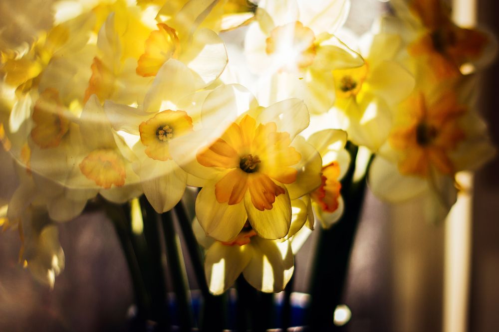 Солнечный привет