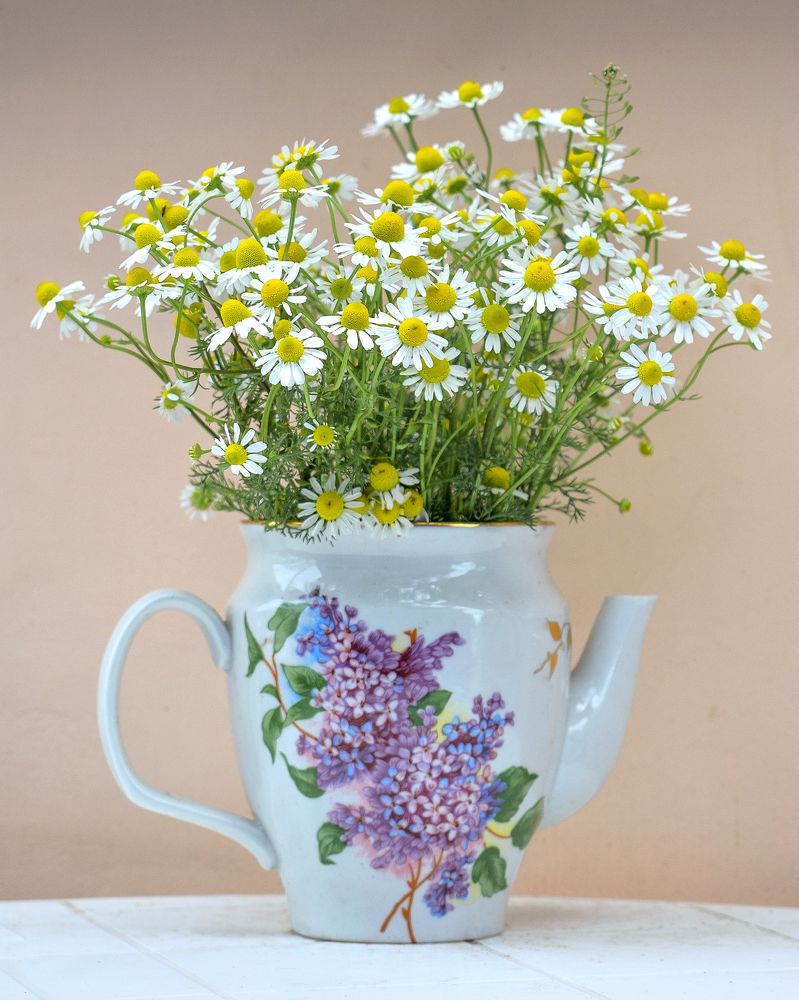 Photograph by Наталья Вялых