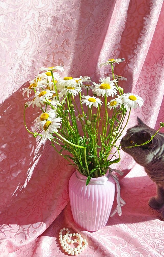 Photograph by Елена