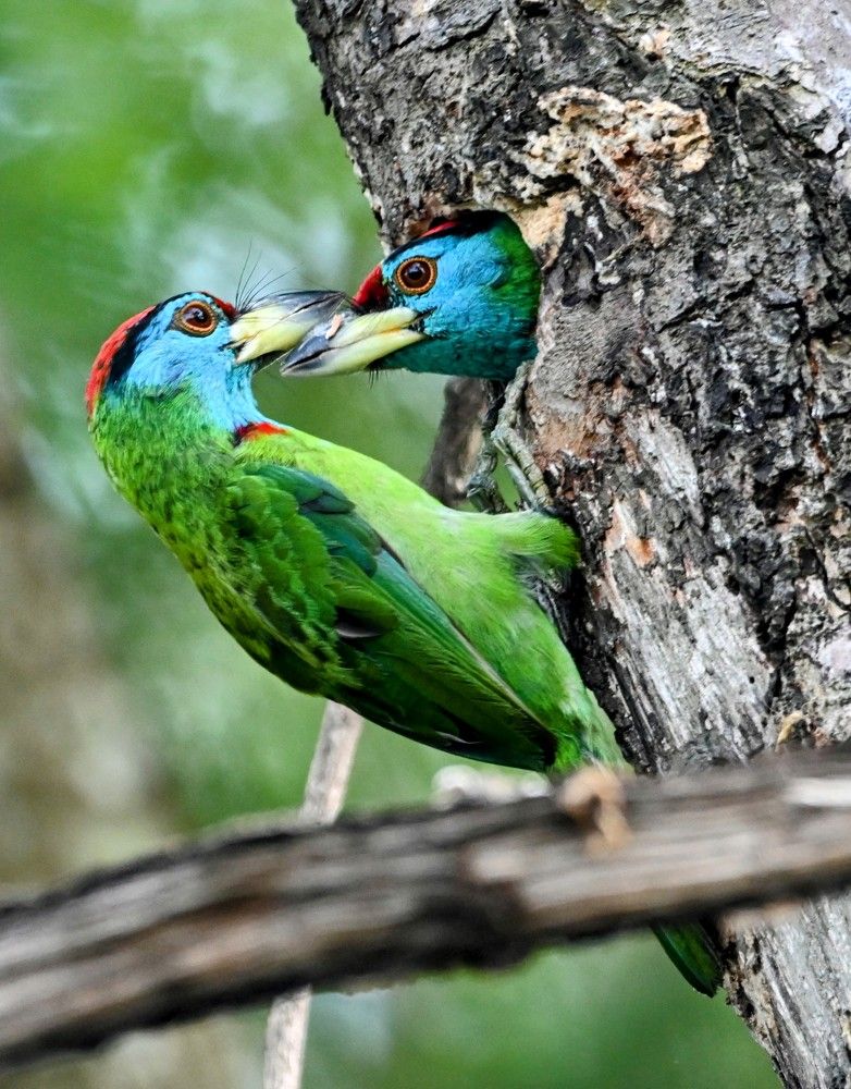 Photograph by Nirup Datta