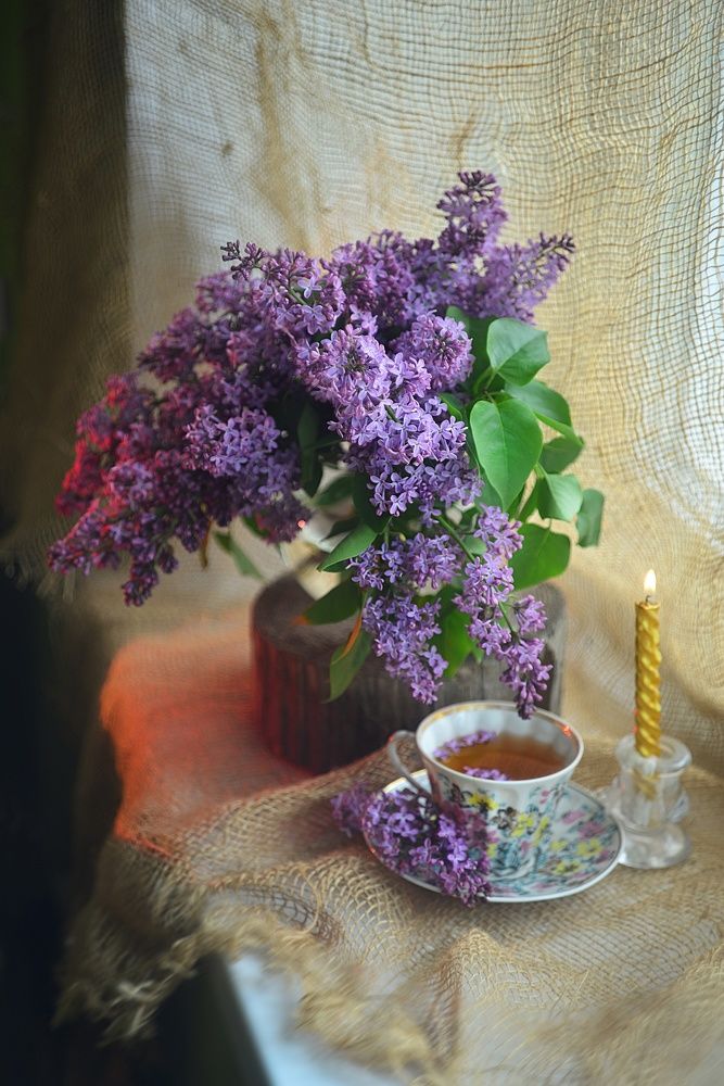 Photograph by Лапшина Владлена