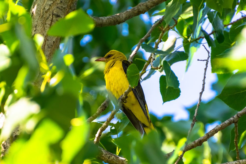 Photograph by Анастасия Киселева