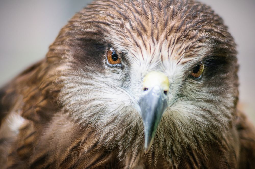 Photograph by Кирилл Богомазов