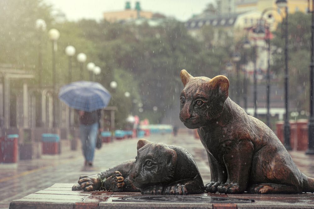 Photograph by Andrey Matveenko