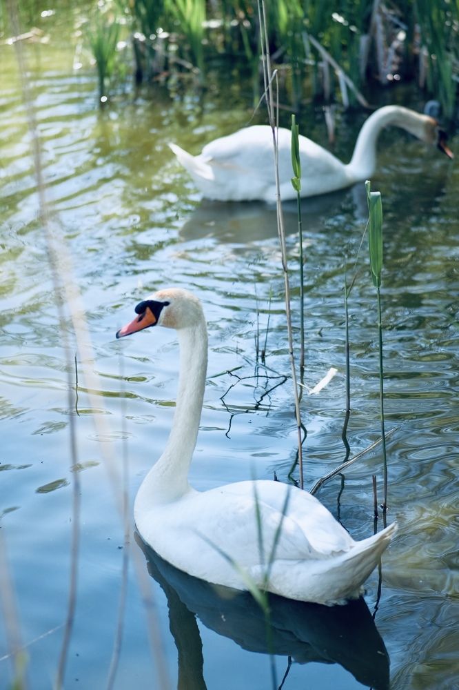 Photograph by Юрий Хорошев