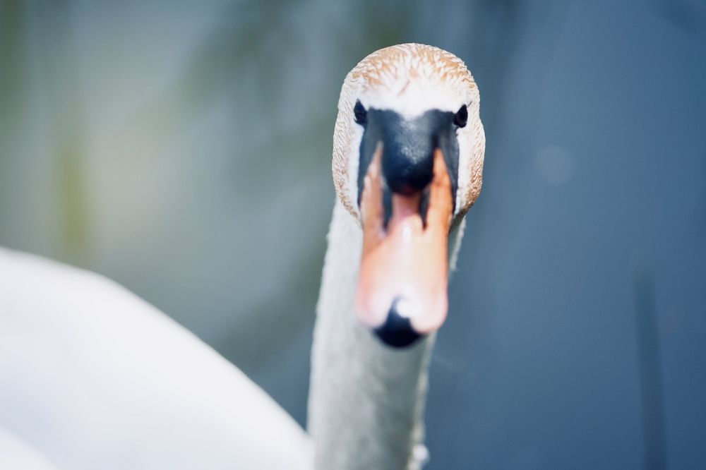 Photograph by Юрий Хорошев