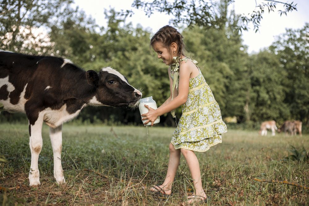 Photograph by Олеся Бучацька