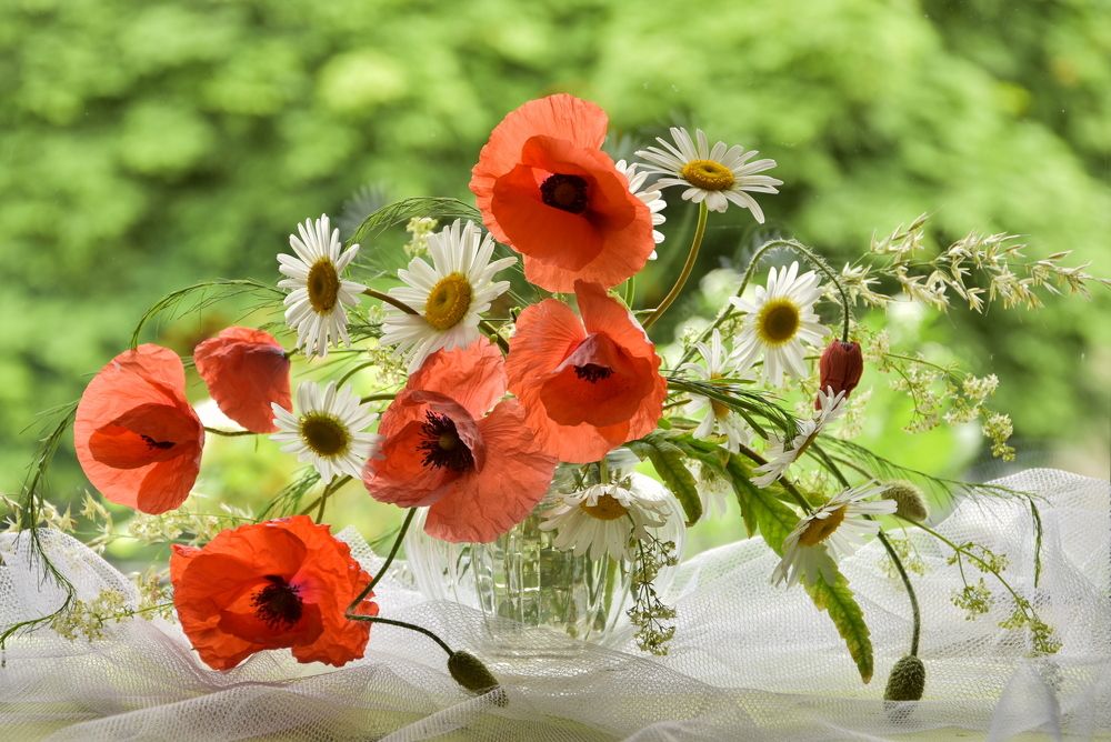 Photograph by Ирина Алексеева