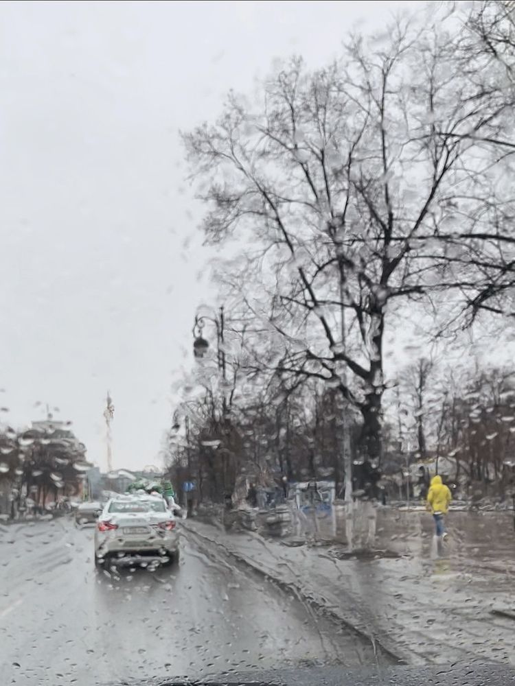 Photograph by Алена Шаргина