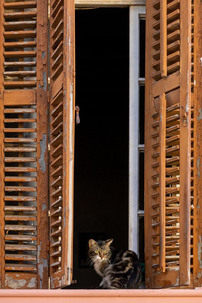 Photograph by Игорь Калинин