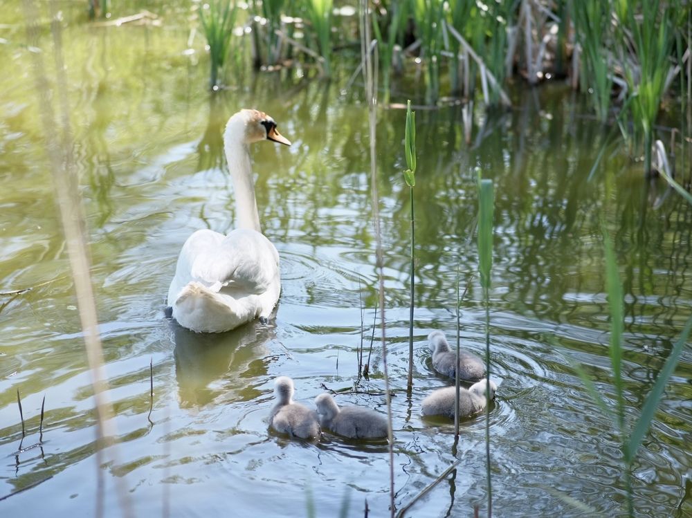 Photograph by Юрий Хорошев