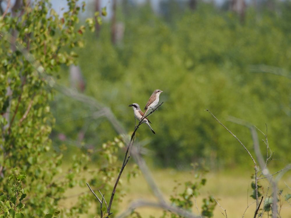 Photograph by Мудрилов Антон