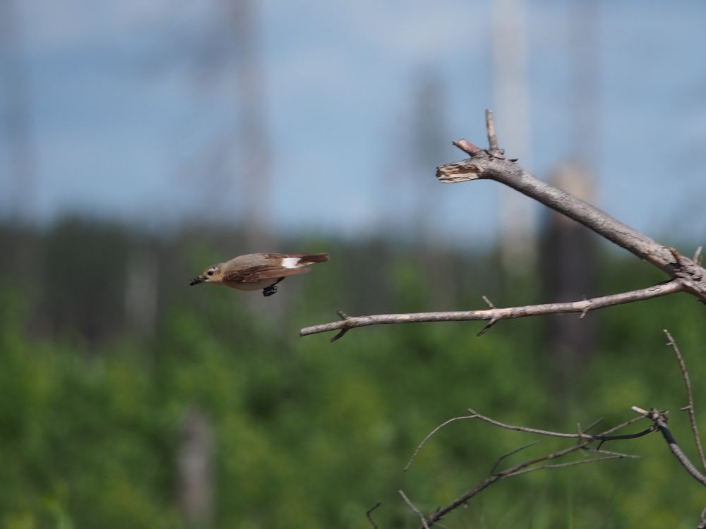 Photograph by Мудрилов Антон