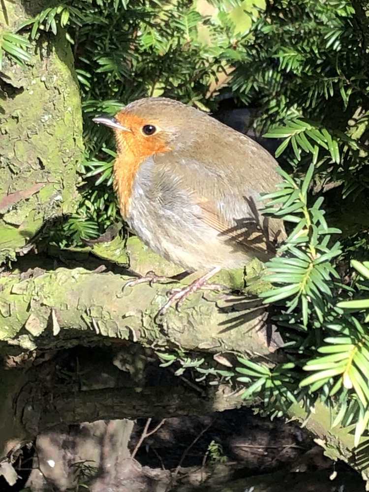 Photograph by Мелетян Наталья