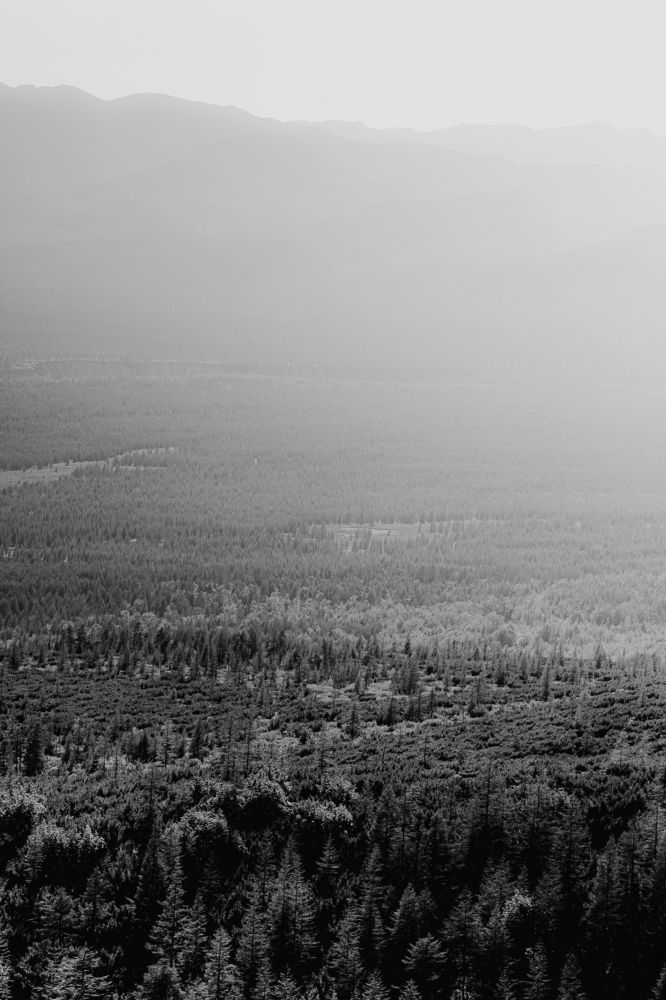 Photograph by Maksim Miroshnichenko