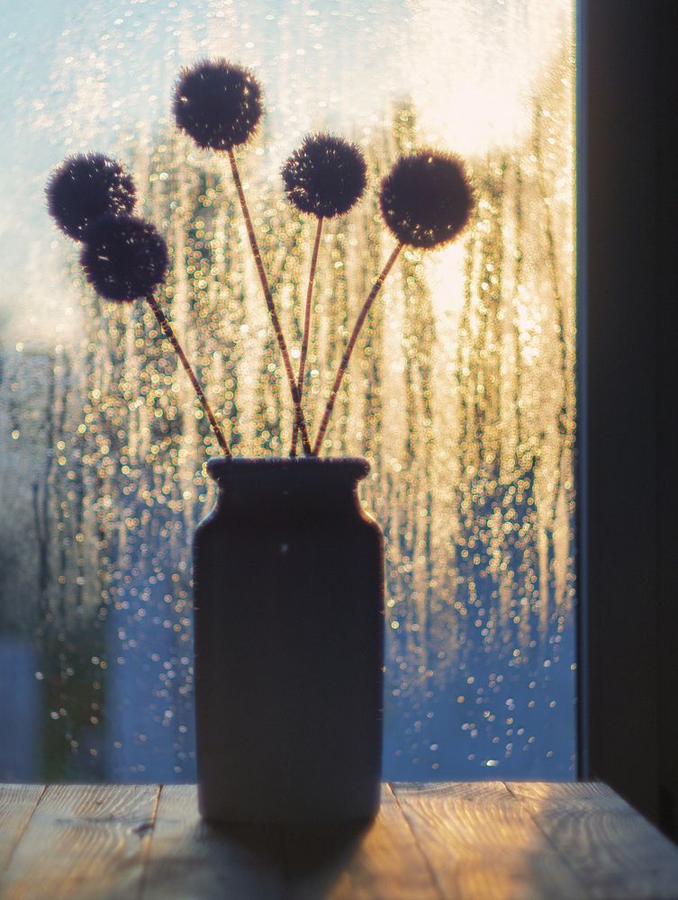 Photograph by Андрей Хаймин