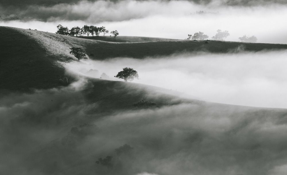 Photograph by Bryan Vu