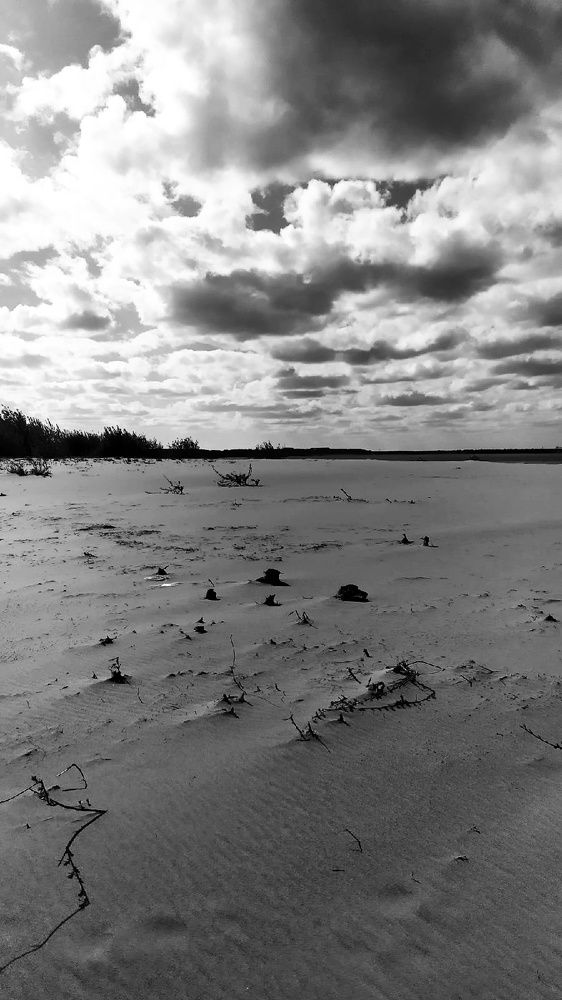 Photograph by Татьяна Власова