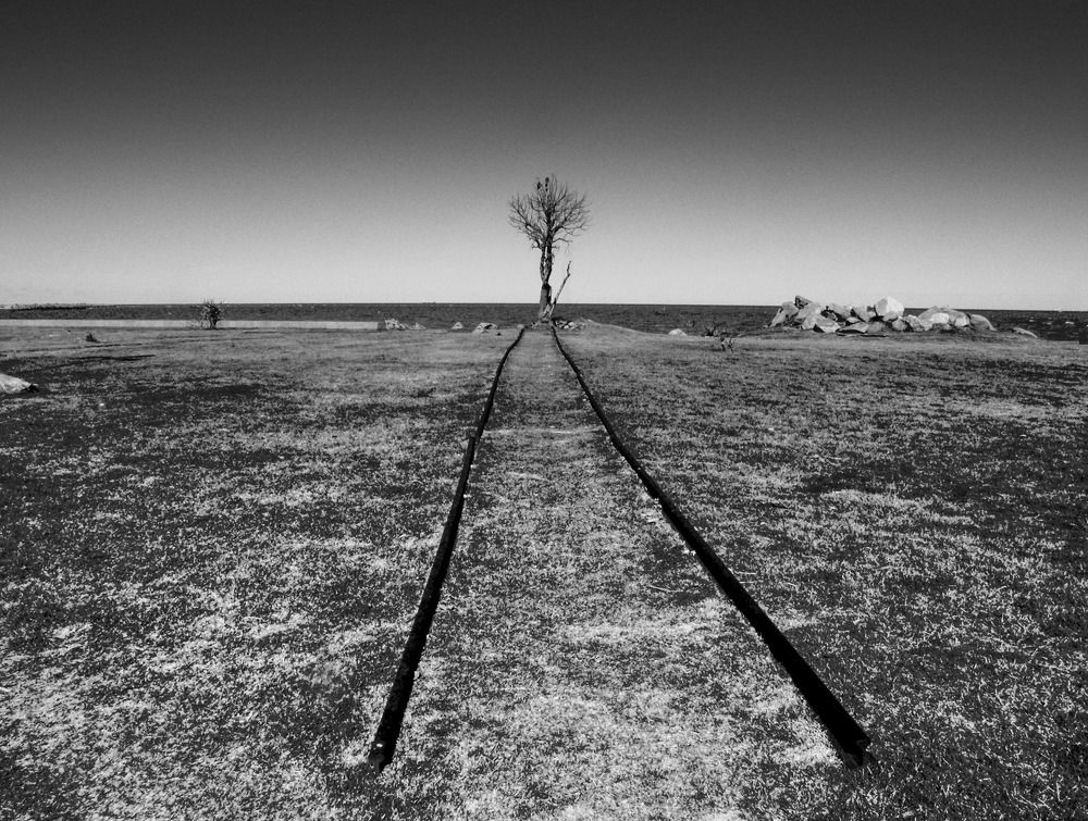 Photograph by Daniel Núñez