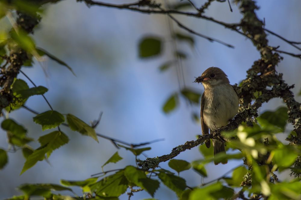 Photograph by Linda Persson