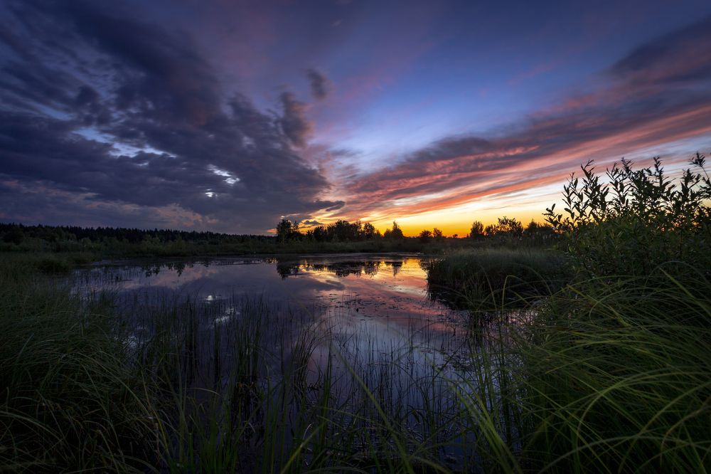 Фотография автора Андрей Логвинович