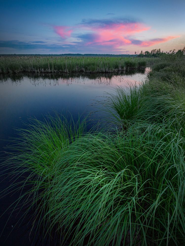 Фотография автора Андрей Логвинович