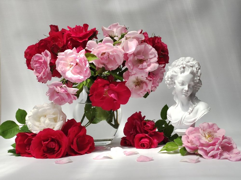 Photograph by Надежда Батракова