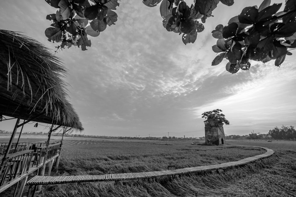 Photograph by Nguyễn Phương