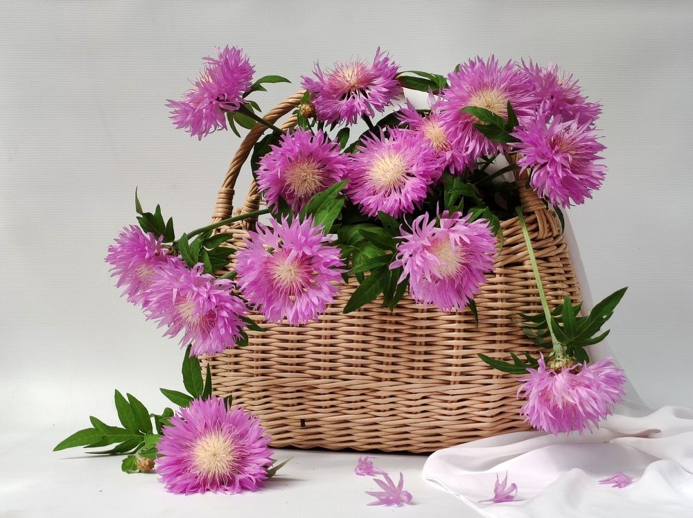 Photograph by Надежда Батракова