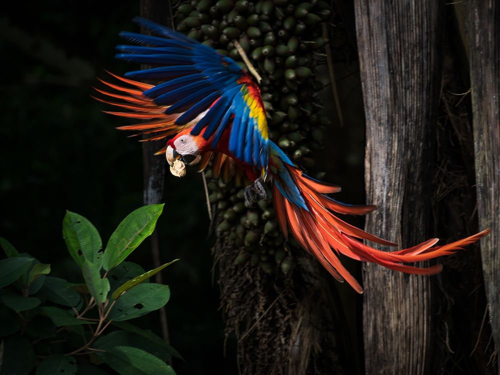 Photograph by Daniel Walther