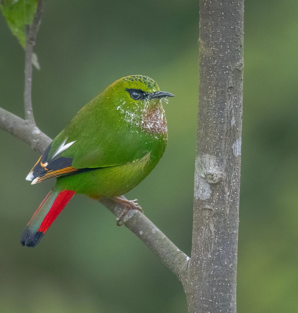 Photograph by Amrito Chakraborty