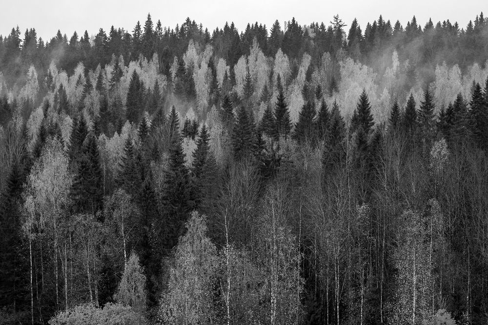 Photograph by Игорь Круглов