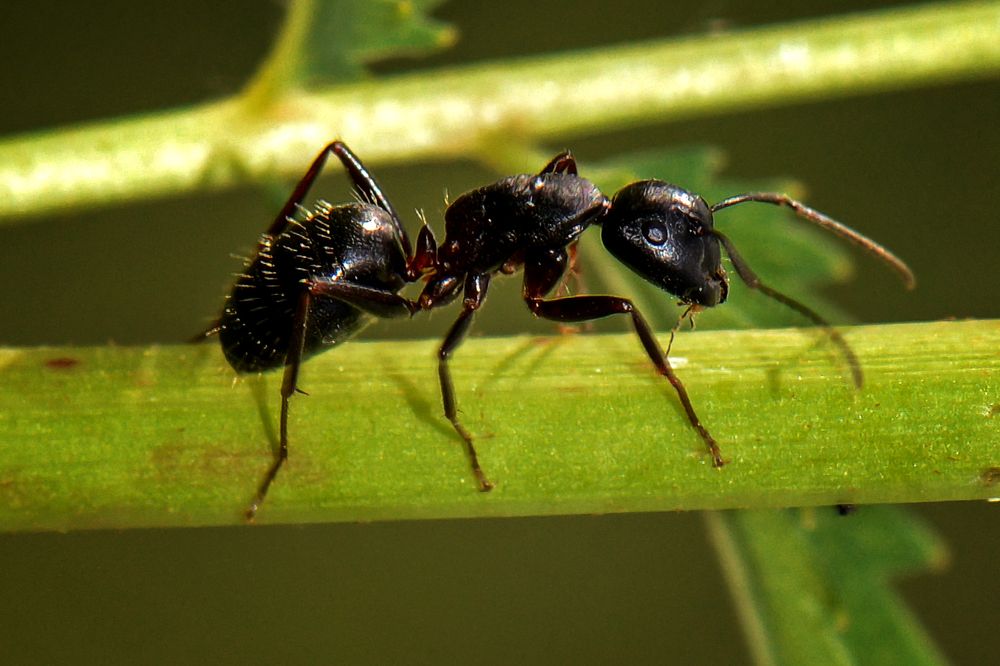 Photograph by Александр Шипиленко