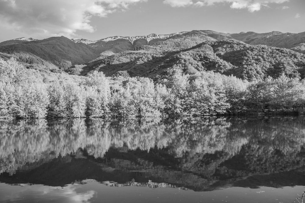 Photograph by iliya levkov