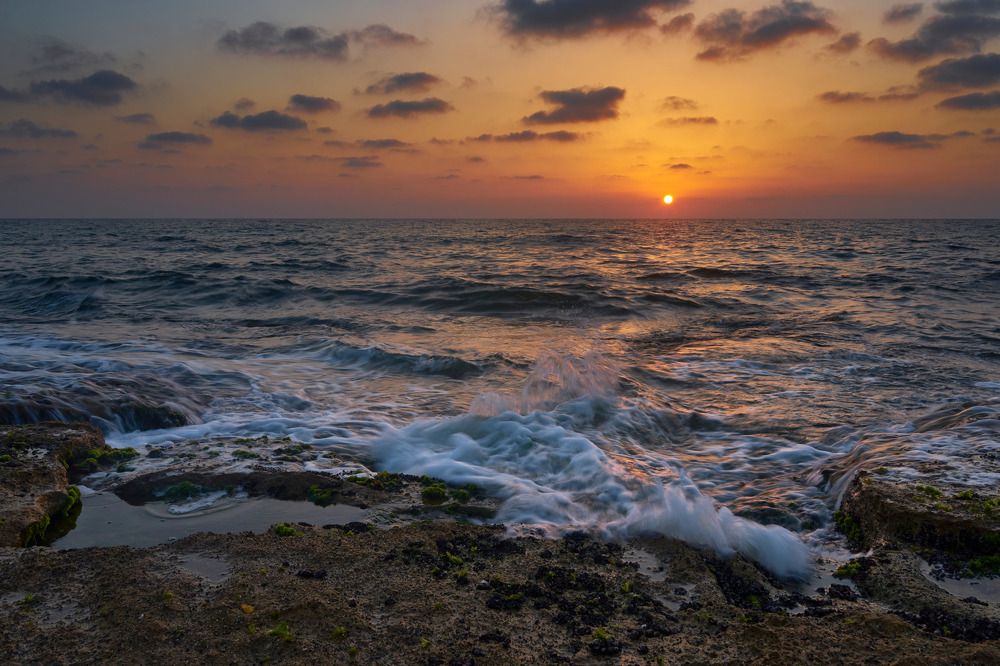 Фотография автора David Solodar