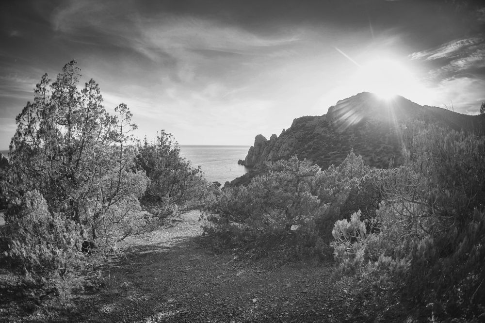 Photograph by Анатолий Климов