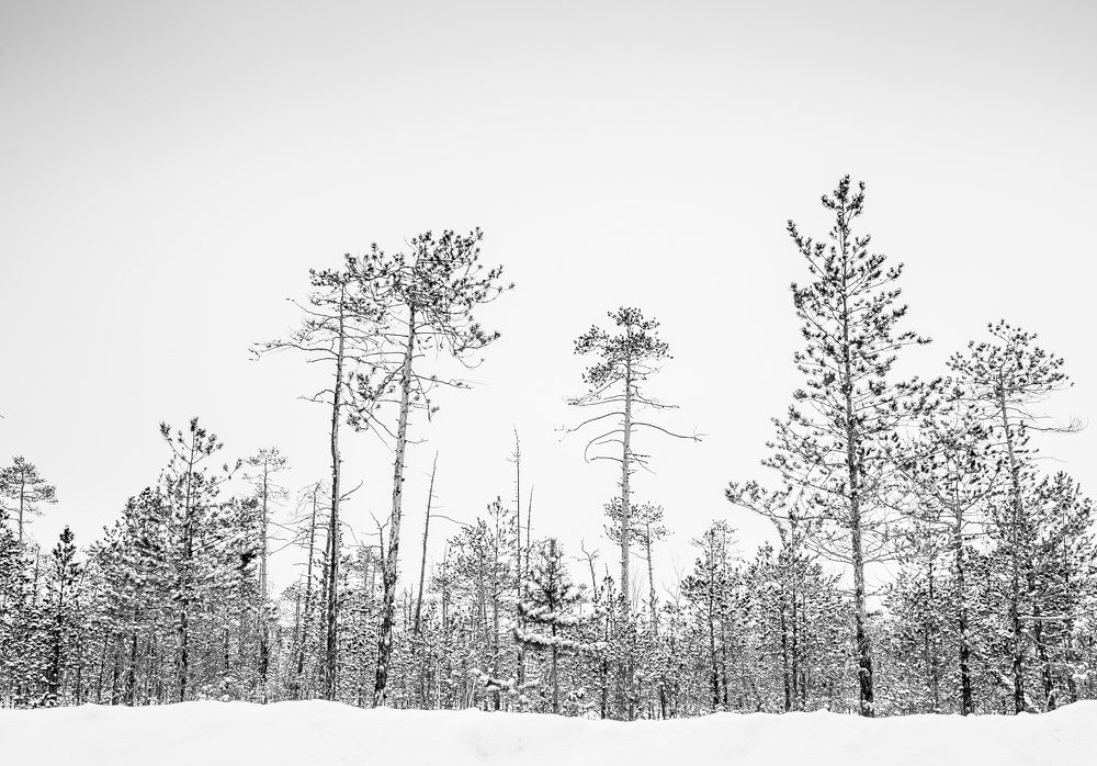 Photograph by Наталья Переверзева