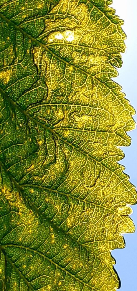 Photograph by Евгения Ульянова