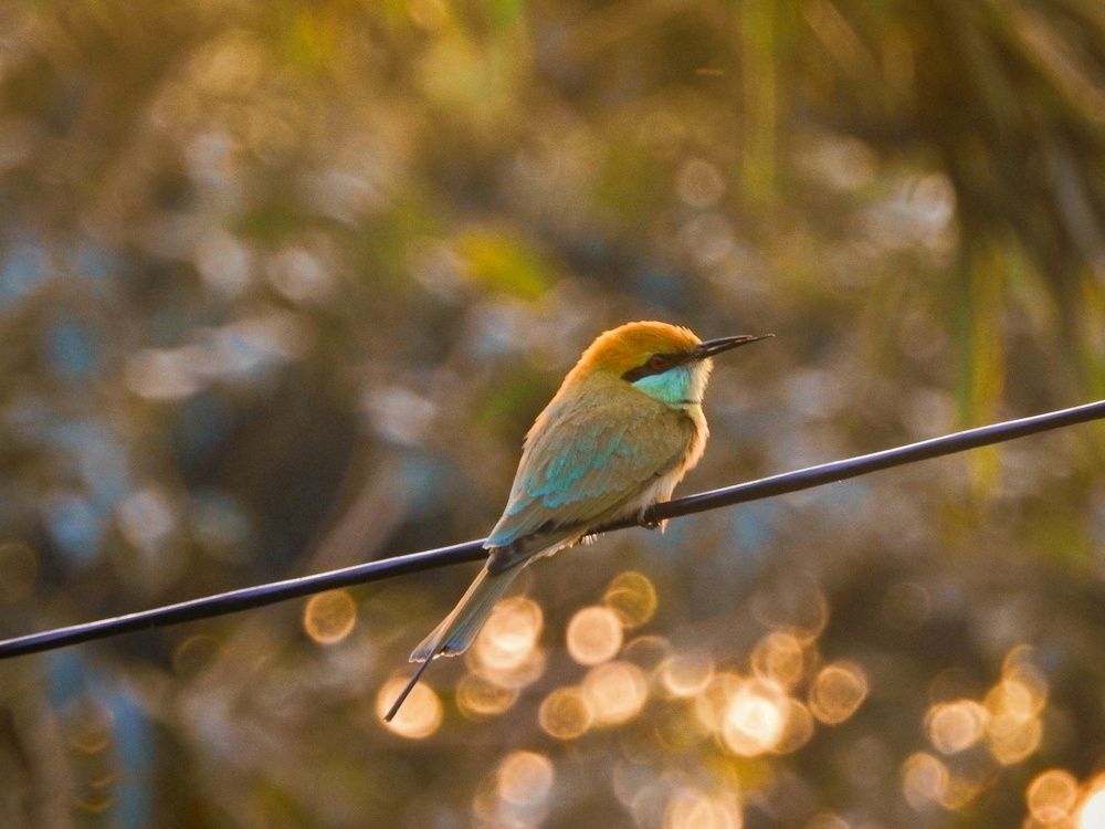 Photograph by ARUNIMA GAYEN