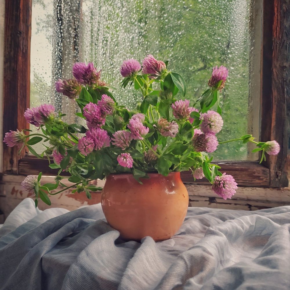 Ваза с клевером