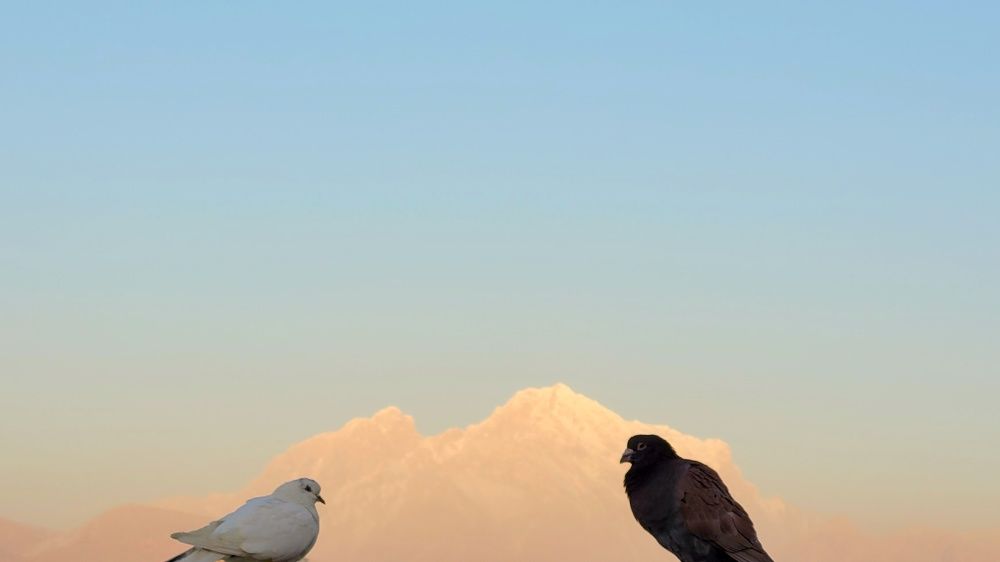 Photograph by Abbas Rahimi