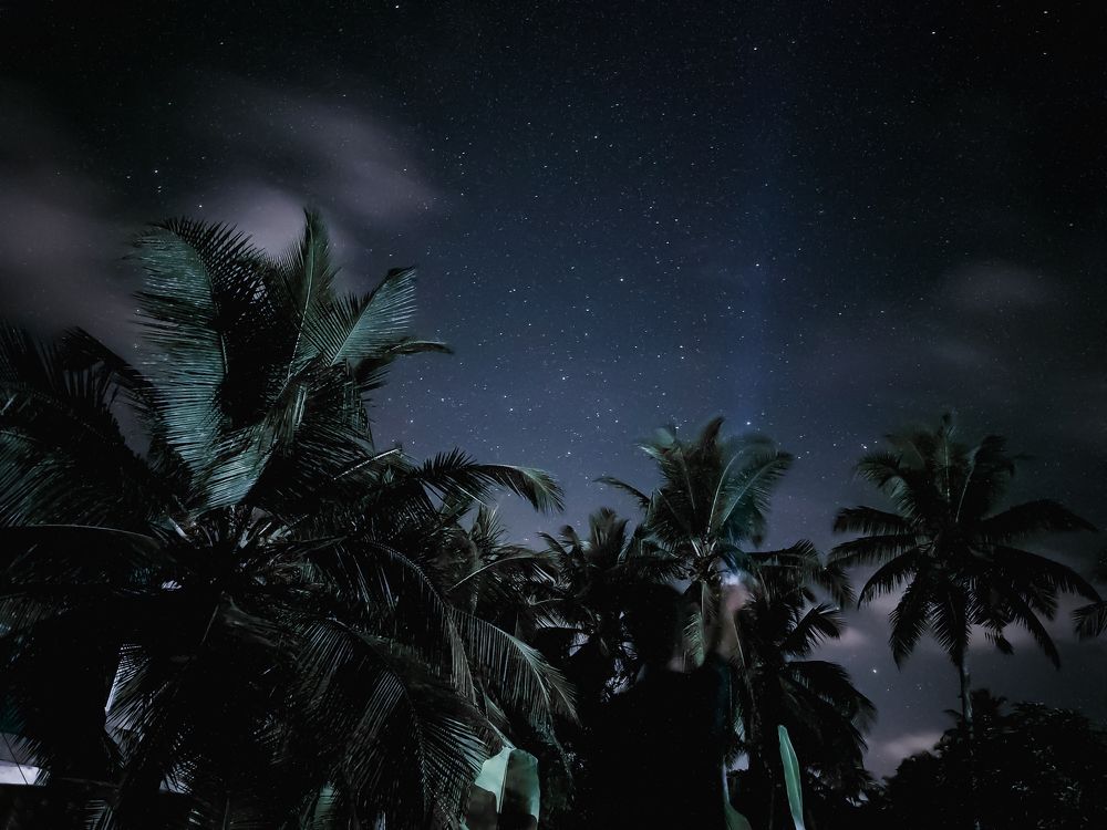 Photograph by Venkatesh r Kamath