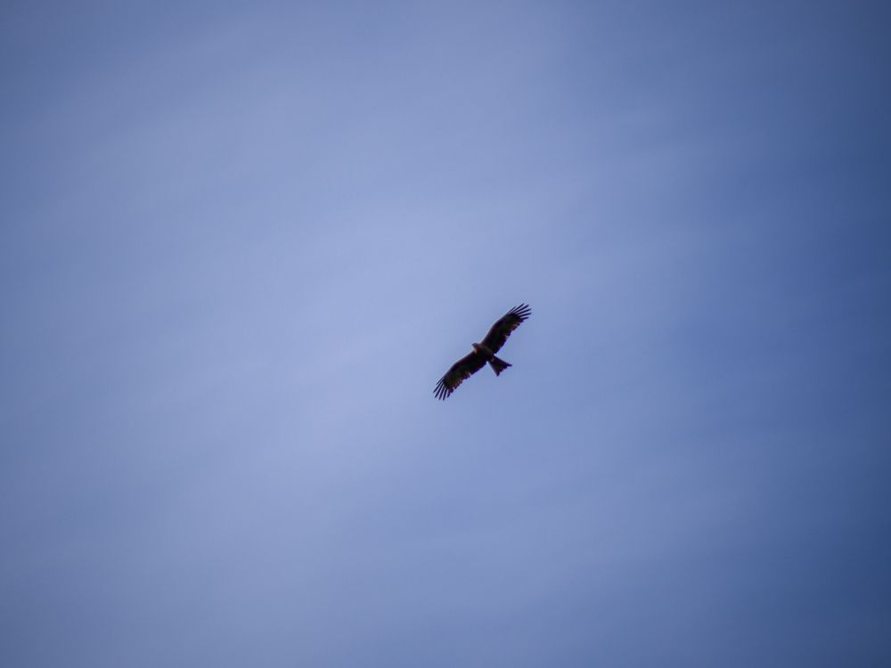 Photograph by Владимир Тюрин