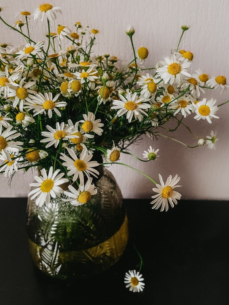 Фотография автора Oxana Yurasova