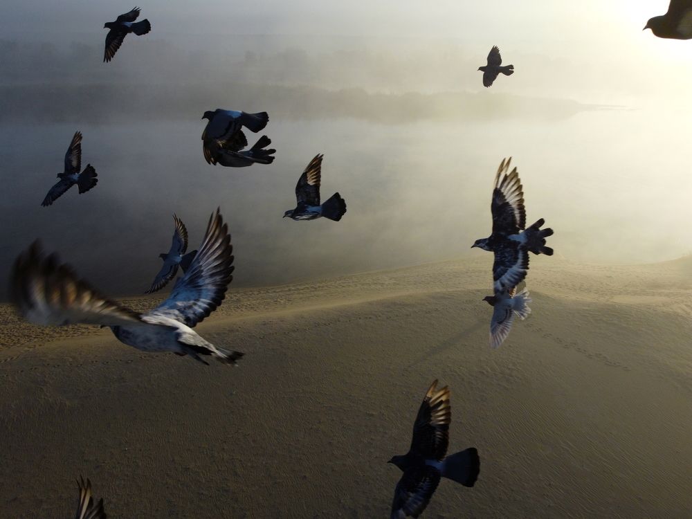 Photograph by Сергей Шляга