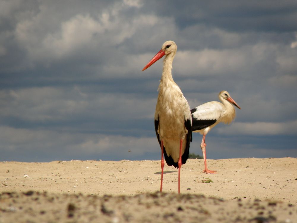 Photograph by Сергей Шляга