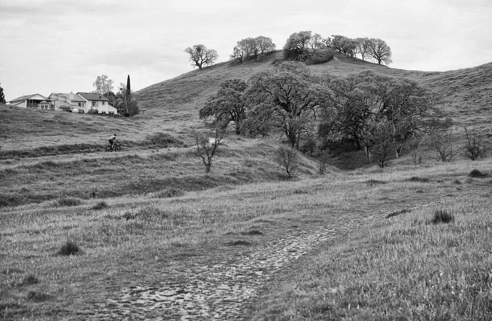 Photograph by Владимир Гречанинов