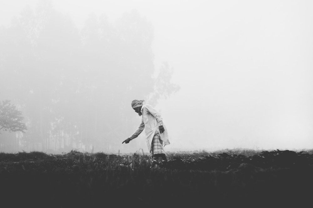 Photograph by Jamil sharafat