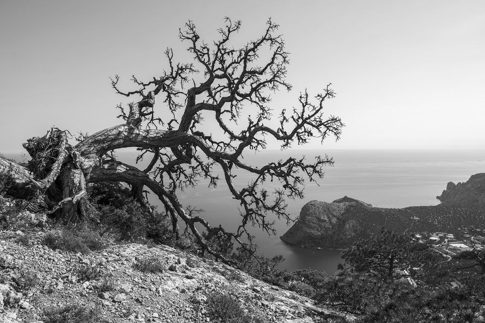 Photograph by Виктор Филипчук